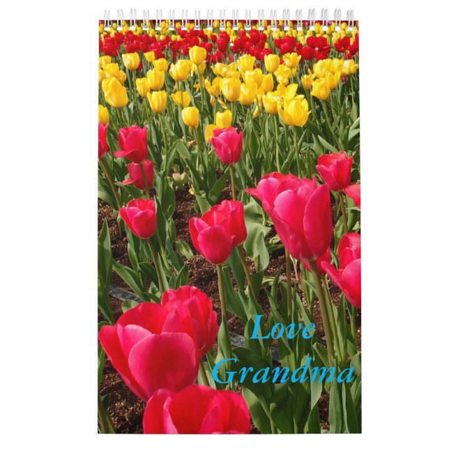 Liebe-Großmutter-Kalender Kalender (Titelbild)