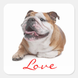 Liebe Happy Bulldog Hundekleber Quadratischer Aufkleber