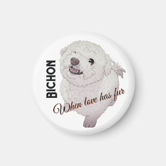 Liebe hat Fell Bichon Magnet