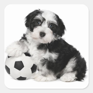 Liebe Havanese Puppy Hunde Stickers Siegel