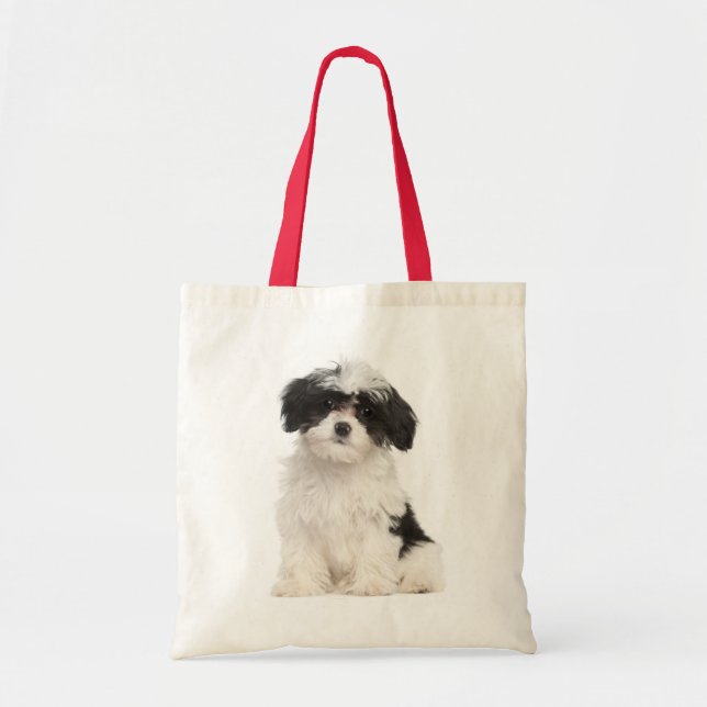 Liebe Havanese Welpe Hund Leinwand Tasche (Vorne)