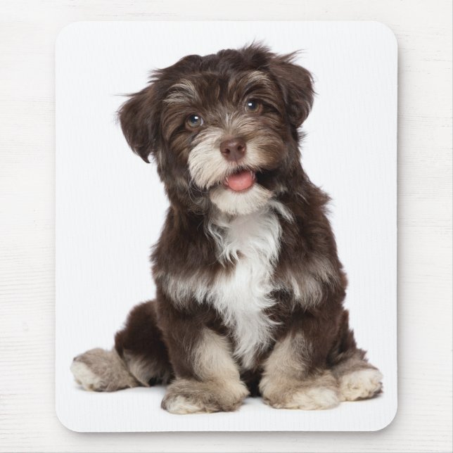 Liebe Havanese Welpe Hund Mousepad (Vorne)