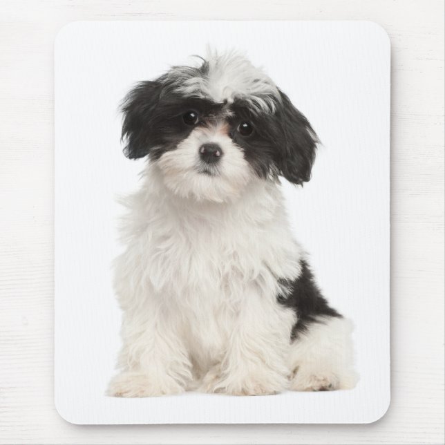 Liebe Havanese Welpe Hund Mousepad (Vorne)