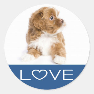 Liebe Havanese Welpen-Hundeaufkleber Runder Aufkleber
