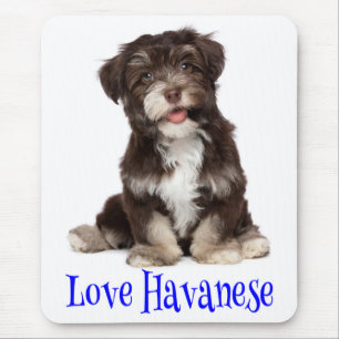 Liebe Havanese-Welpen-Mauspad Mousepad