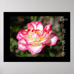 Liebe HEALS drucken Kunstgeschenke Rosa Blume Flor Poster