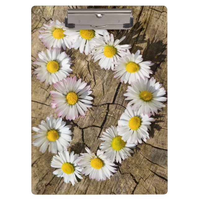 Liebe Heart Daisies Klemmbrett (Vorderseite)