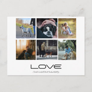 Liebe-Hund-Familienporträt-Collage-Design Postkarte