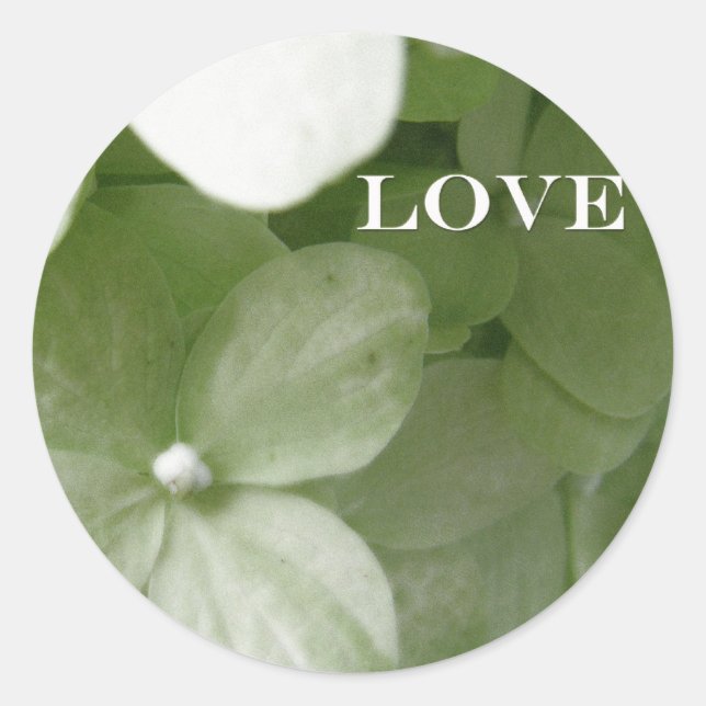 Liebe-Hydrangea Runder Aufkleber (Vorderseite)