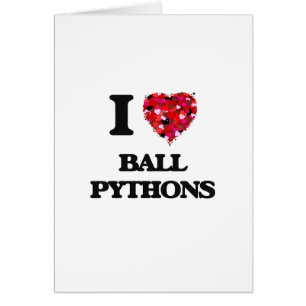 Liebe I Ball-Pythonschlangen