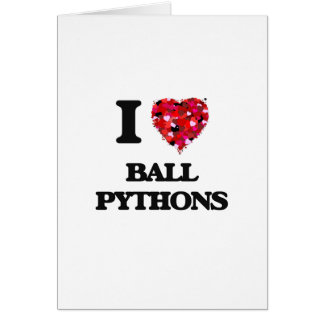 Liebe I Ball-Pythonschlangen