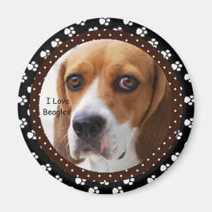 Liebe I Beagle-Magnet Magnet