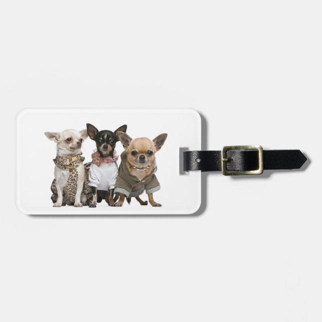 Liebe I Chihuahuas Gepäckanhänger (Vorderseite horizontal)