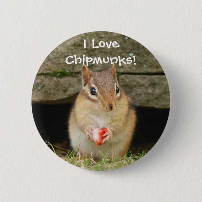 Liebe I Chipmunks! Button (Vorderseite)