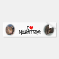 Liebe I Hamster