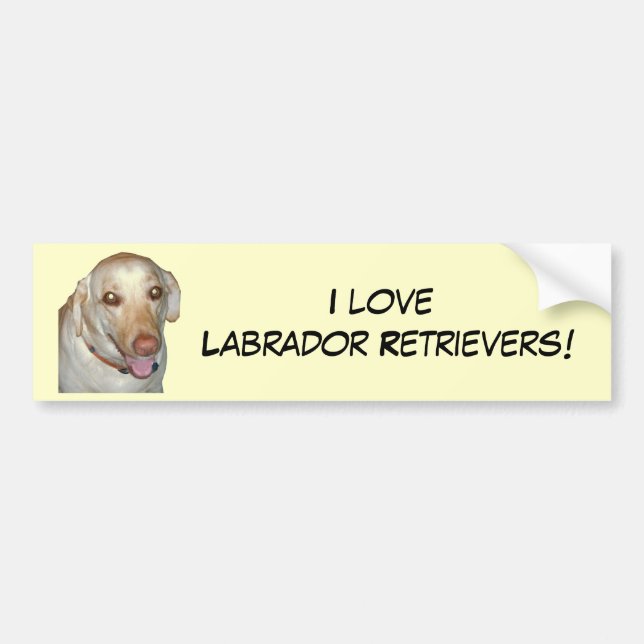 Liebe I Labrador-Retriever! Autoaufkleber (Vorne)