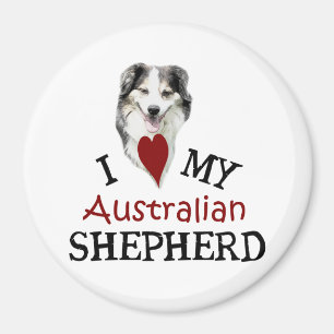 Liebe I mein australischer Schäfer Magnet