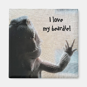 Liebe I mein beardie niedlicher bärtiger Magnet