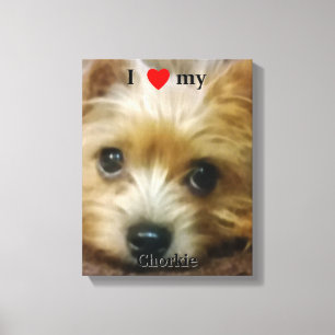 Liebe I mein Chorkie Leinwanddruck
