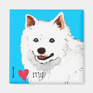 Liebe I mein Eskie Magnet