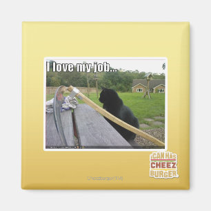 Liebe I mein Job Magnet