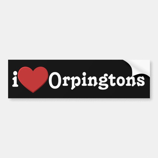 Liebe I Orpingtons Autoaufkleber (Vorne)