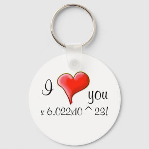 Liebe I Sie 6.022x10^23! Schlüsselanhänger