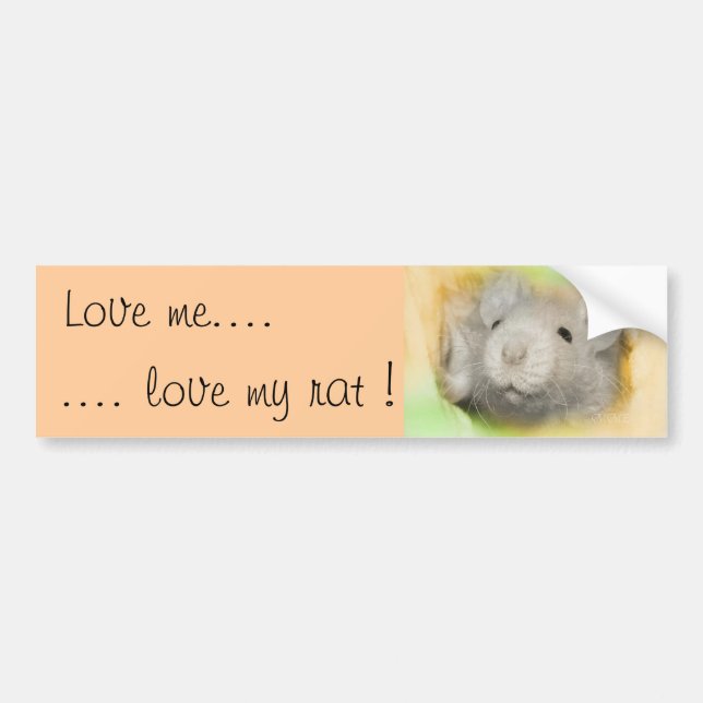 Liebe ich. .love meine Ratte Autoaufkleber (Vorne)