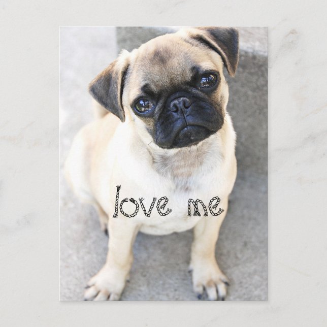 Liebe ich - niedliche Mops Postkarte (Vorderseite)