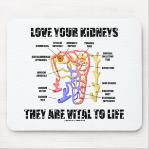 Liebe Ihre Nieren Sie sind lebenswichtig (Nephron) Mousepad