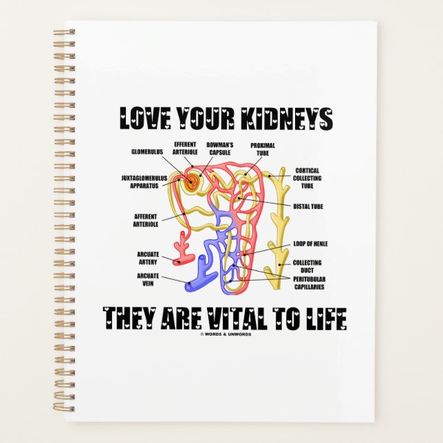 Liebe Ihre Nieren Sie sind lebenswichtig Nephron Planer (Vorderseite)