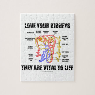 Liebe Ihre Nieren Sie sind lebenswichtig (Nephron) Puzzle