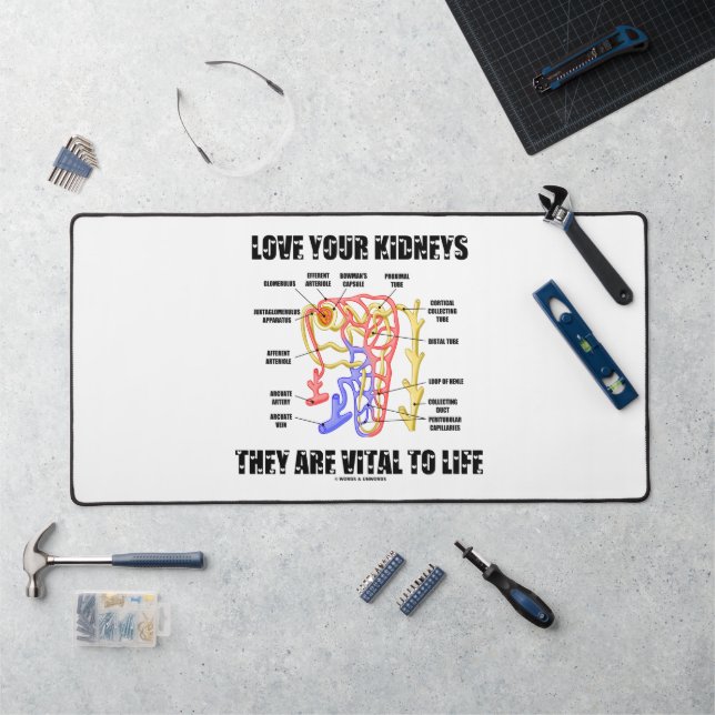 Liebe Ihre Nieren Sie sind lebenswichtig Nephron Schreibtischunterlage (Arbeitsplatz)