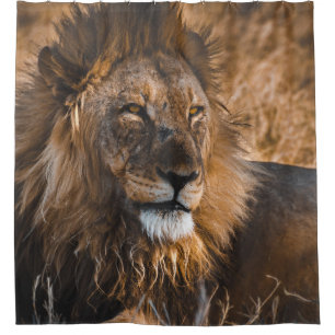 LIEBE IM NATIONALPARK ETOSHA DUSCHVORHANG