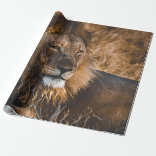 LIEBE IM NATIONALPARK ETOSHA GESCHENKPAPIER
