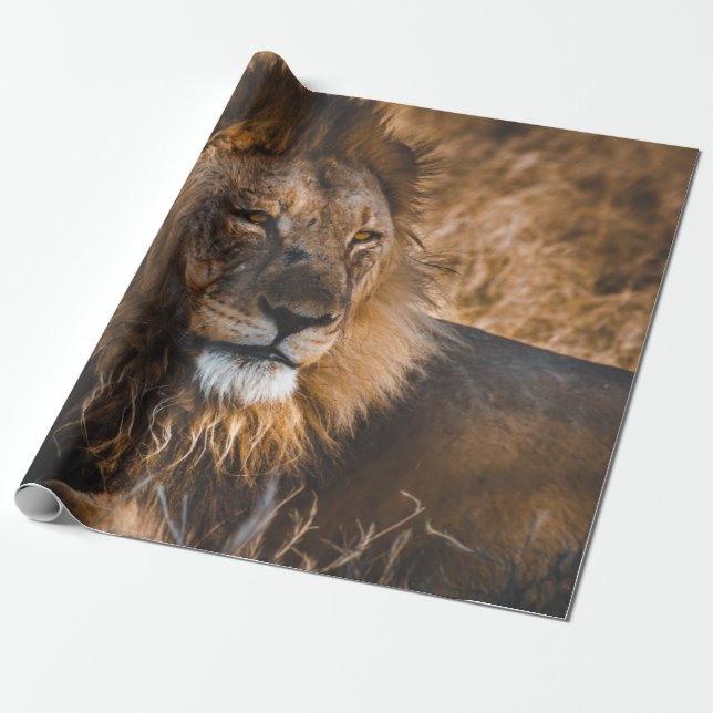 LIEBE IM NATIONALPARK ETOSHA GESCHENKPAPIER (Ungerollt)