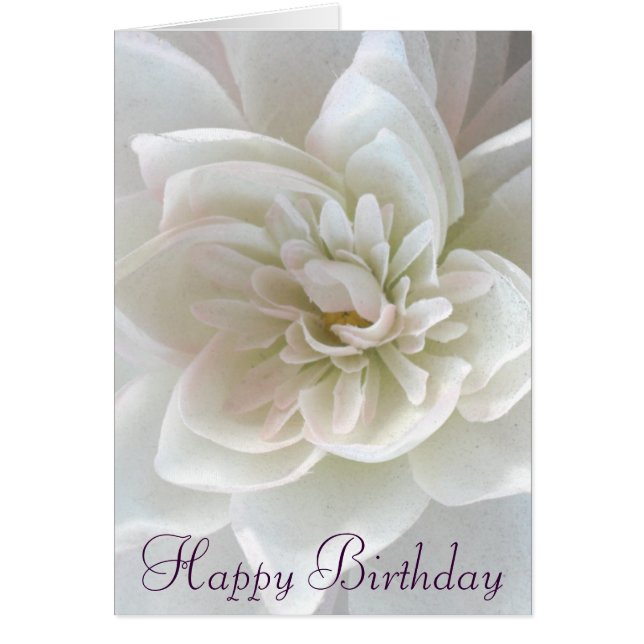 Liebe in Blossom_ (Vorne)