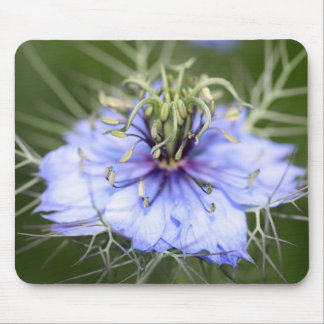 Liebe in der Nebel-Blume Mousepad