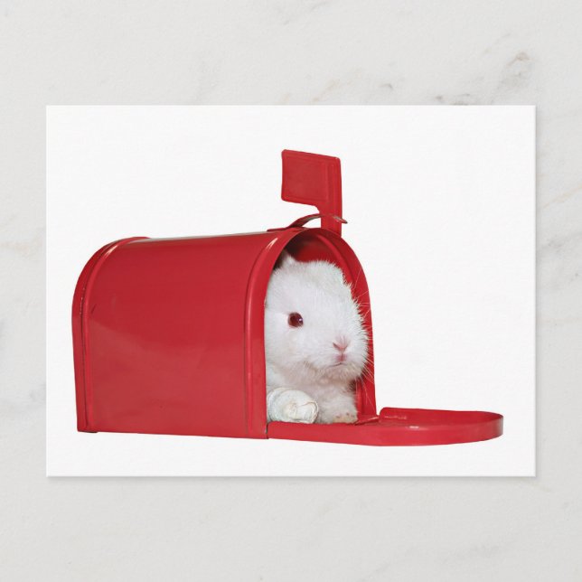 Liebe in der Post Postkarte (Vorderseite)