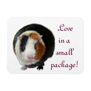 Liebe in einem kleinen Paket Magnet