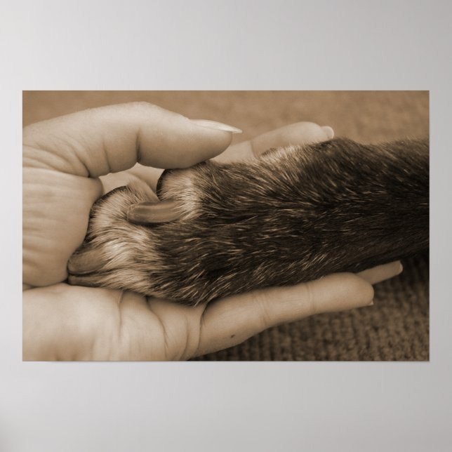 Liebe ist bedingungslos poster (Vorne)