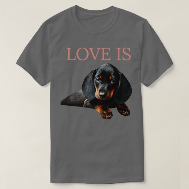 Liebe ist Dackel Dog1 T-Shirt (Design vorne)