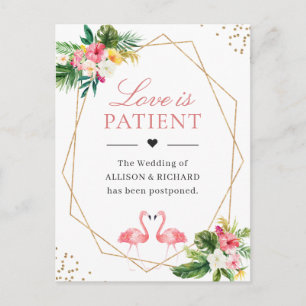 Liebe ist der Patient Tropical Flamingo Geometric Postkarte