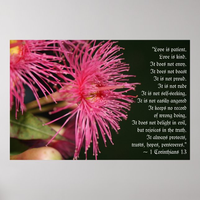 Liebe ist ein Geschenk der Gedächtnisbibel Poster (Vorne)