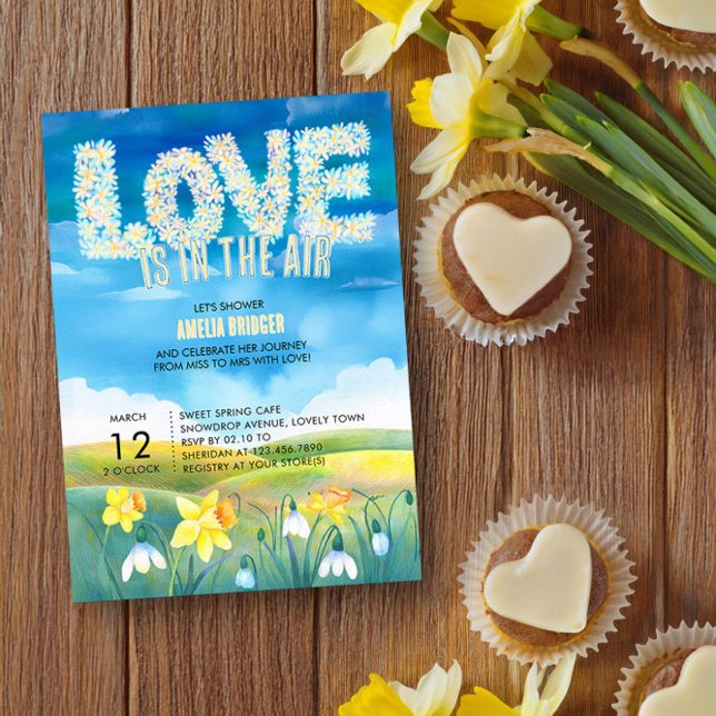 Liebe ist im Air Spring Brautparty Einladung (Bridal Shower invitation from the Valentines Bridal Shower Invitation collection by Darling & May)