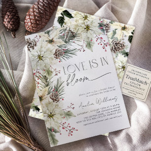 Liebe ist in Bloom Winter Poinsettia Blume Einladung