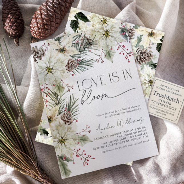 Liebe ist in Bloom Winter Poinsettia Blume Einladung (Von Creator hochgeladen)