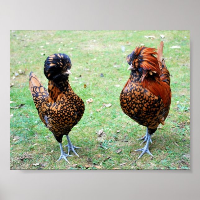 Liebe ist in der Luft Poster (Vorne)