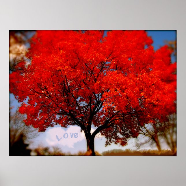 Liebe ist in der Luft Poster (Vorne)