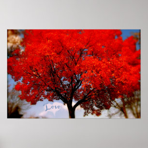 Liebe ist in der Luft Poster